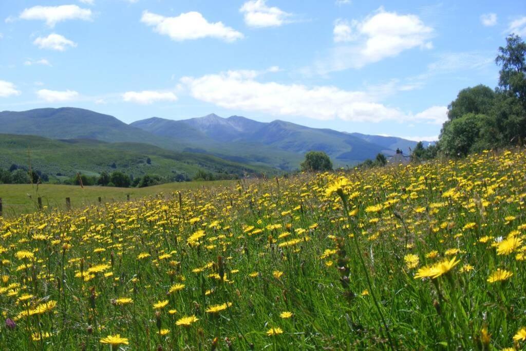 Glas Doire Lodge, Glen Roy Nature Reserve Ройбридж Экстерьер фото
